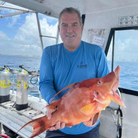 Bild von Ocean Quest Scuba Charters