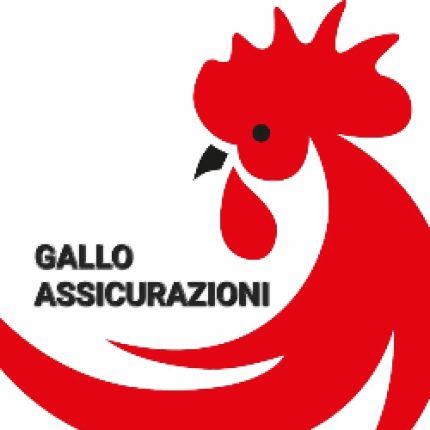 Logo van Gallo Assicurazioni