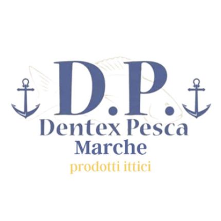 Logotipo de Dentex Pesca Marche