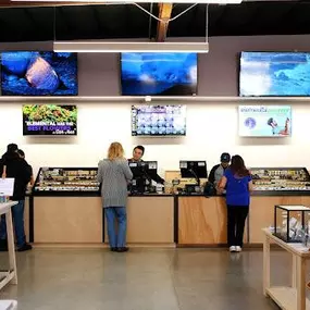 Bild von Elemental Wellness Cannabis Dispensary San Jose