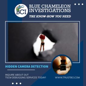Bild von Blue Chameleon Investigations