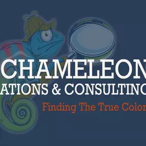 Bild von Blue Chameleon Investigations