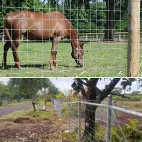 Bild von Fence, Gates and Rockwalls