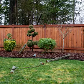 Bild von Fence, Gates and Rockwalls