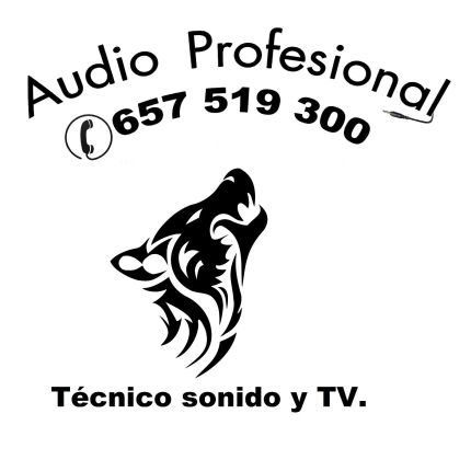 Logotyp från Audio Profesional