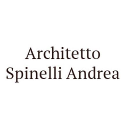 Logo van Architetto Spinelli Andrea