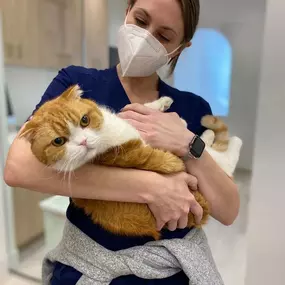 Bild von Petfolk Veterinary & Urgent Care - SouthPark