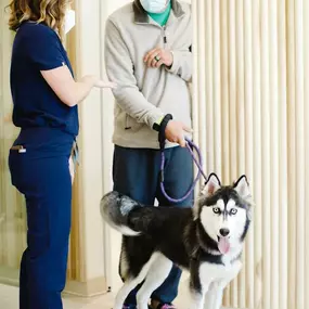 Bild von Petfolk Veterinary & Urgent Care - SouthPark