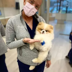 Bild von Petfolk Veterinary & Urgent Care - SouthPark