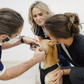 Bild von Petfolk Veterinary & Urgent Care - SouthPark