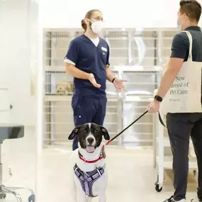 Bild von Petfolk Veterinary & Urgent Care - SouthPark