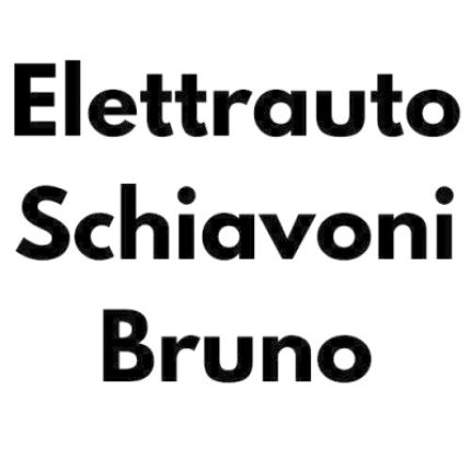 Logotipo de Elettrauto Schiavoni Bruno