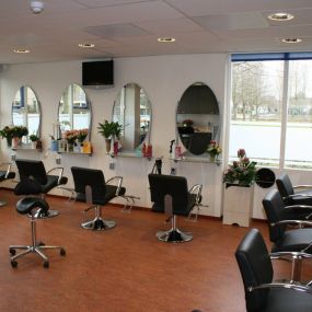 Bild von All-In Hairstyling