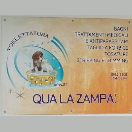 Logotipo de Qua La Zampa Toelettatura   Amico a Quattro Zampe
