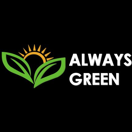 Logo from Always Green Carpet Cleaner of Brooklyn