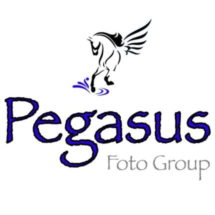 Logo da Pegasus Foto Group, LLC