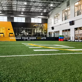 Indoor Turf