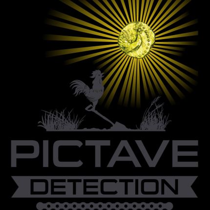 Logo von PICTAVE DETECTION ROYAN