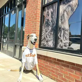 Bild von Petfolk Veterinary & Urgent Care - Huntersville