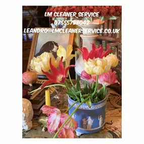 Bild von LM Cleaning Service