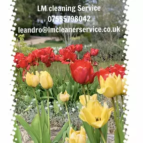 Bild von LM Cleaning Service