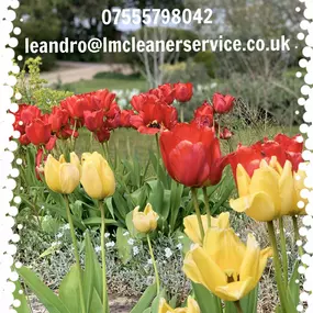 Bild von LM Cleaning Service