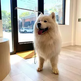 Bild von Petfolk Veterinary & Urgent Care - North Miami Biscayne