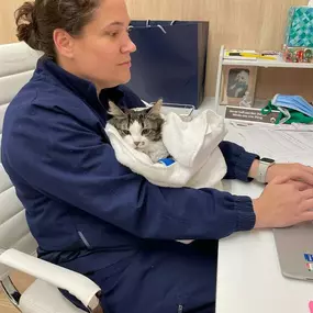 Bild von Petfolk Veterinary & Urgent Care - Peachtree Corners