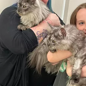 Bild von Petfolk Veterinary & Urgent Care - Peachtree Corners