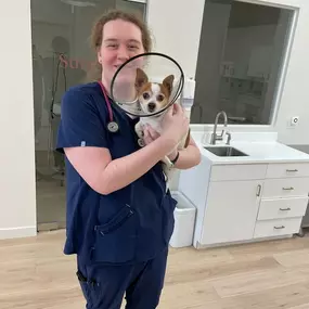 Bild von Petfolk Veterinary & Urgent Care - Peachtree Corners