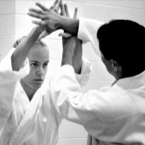 Bild von Traditional Aikido of Sarasota