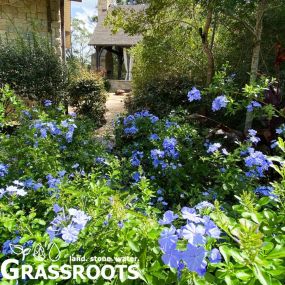 Bild von Grassroots Landscaping & Outdoor Living