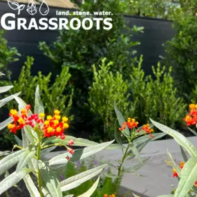 Bild von Grassroots Landscaping & Outdoor Living