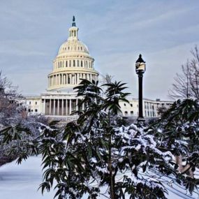 Bild von Best Stop: Weed Dispensary | Marijuana in DC