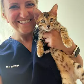 Bild von Petfolk Veterinary & Urgent Care - East Cobb Marietta