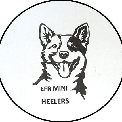 Logo von EFR Mini Heelers