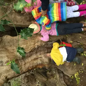 Bild von Little Birches Nursery Sonning Common