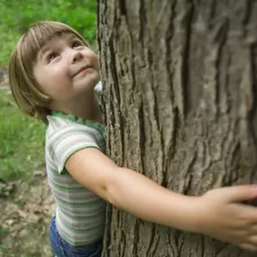 Bild von Little Birches Nursery Sonning Common