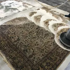 Ayoub Carpet Service®