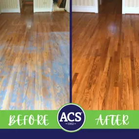 Ayoub Carpet Service®