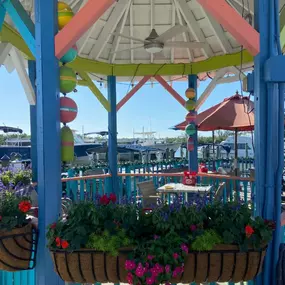 Bild von Island Gypsy Cafe & Marina Bar