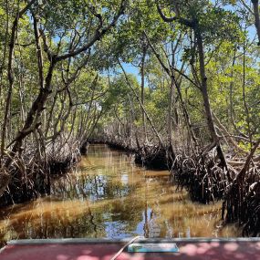 Bild von Everglades Excursions