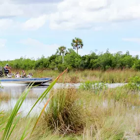 Bild von Everglades Excursions