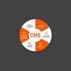 CMS-based Websites
Content Management Systems are often the best choice for websites with a lot of content that needs regular updating. Content Management Systems make updating your website easy and straightforward to keep your site up-to-date without hassle. 

Content management systems are usually more complicated to set up, so they often come with a higher upfront cost than a simple informational website. But there is also the added benefit of CMSs if you have loads of information on your web