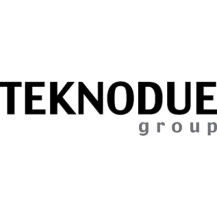 Logotyp från Teknodue Group