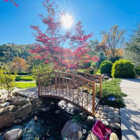 Bild von Pasadena Villa Psychiatric Residential Treatment Centers Smoky Mountain Lodge