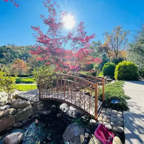 Pasadena Villa Smoky Mountain Lodge: Exterior photo of the front of our residential treatment center's walkway into the garden area.