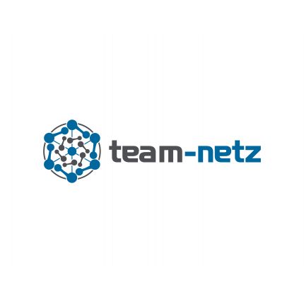 Logo van team-netz