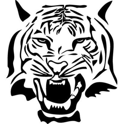 Logo da Tiger Electric, Inc.