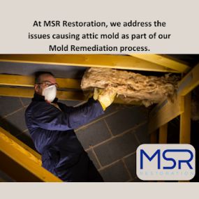 Bild von MSR Restoration